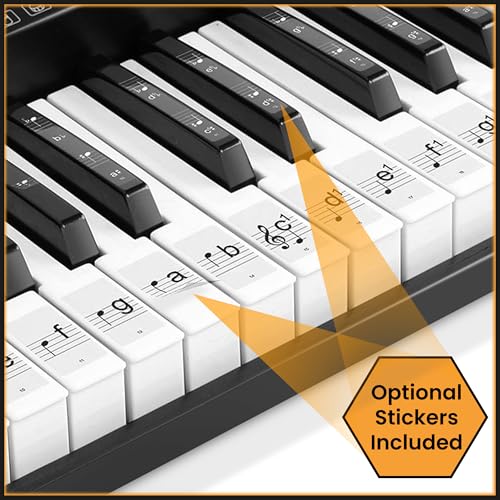 Hamzer Teclado eletrônico de música de órgão elétrico de piano com 61 teclas com suporte, microfone e folha de adesivos - preto