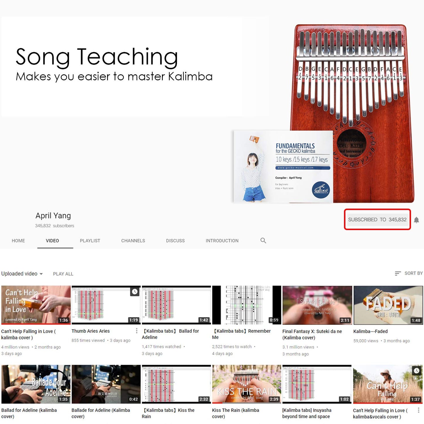 GECKO Kalimba Piano de polegar de 17 teclas com caixa protetora à prova d'água, martelo de afinação e instruções de estudo, piano portátil Mbira Sanza, som de meditação, presente para iniciantes e