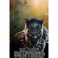 MTT Black Panther Infinity War Officially Licensed Armor Back Case Cover for Apple iPhone 8 & 7 (Design 243)